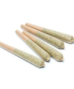 6 Pack Of Pre-Rolls