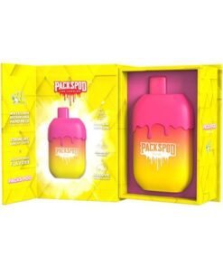 Alternative view of PACKSPOD VAPE