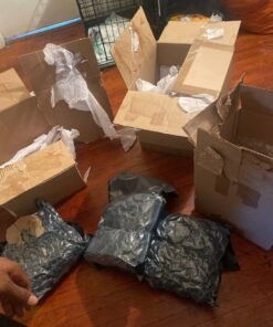 White Wookies Vapes - Exotic Indica Strain | 1g